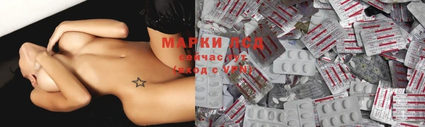 дживик Белокуриха