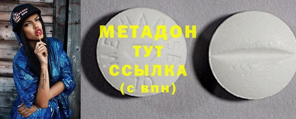 гидра Няндома