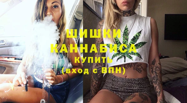 дживик Белокуриха