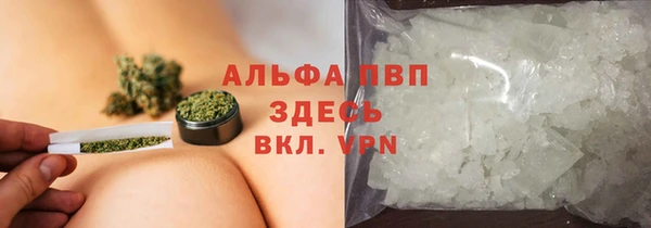 дживик Белокуриха