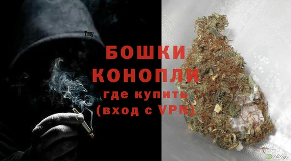 дживик Белокуриха